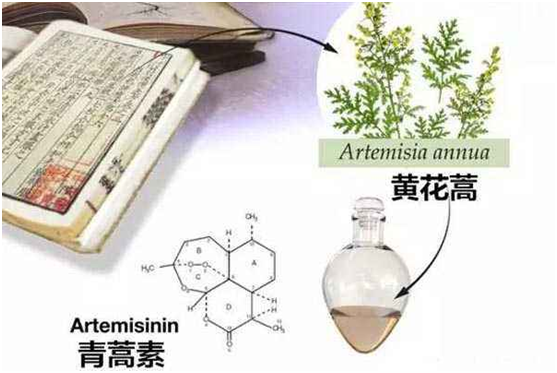 乐动平台：向中医药看齐，与世界共享中医药文化(图1)